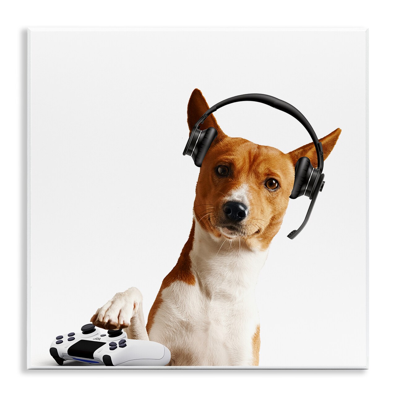 Stupell Industries Gaming Dog with Headset Wall Plaque Design by CAD Designs